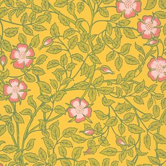 Флизелиновые обои Little Greene 0263BRINDIA коллекции National Trust Papers III