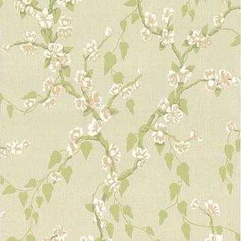 Бумажные обои Little Greene 0247SAPOMME коллекции Archive Trails